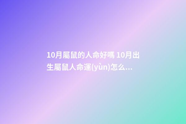 10月屬鼠的人命好嗎 10月出生屬鼠人命運(yùn)怎么樣 10月屬鼠的人命好嗎-第1張-觀點(diǎn)-玄機(jī)派